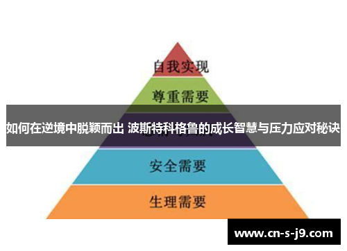 如何在逆境中脱颖而出 波斯特科格鲁的成长智慧与压力应对秘诀