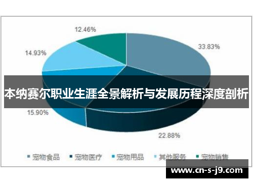 本纳赛尔职业生涯全景解析与发展历程深度剖析