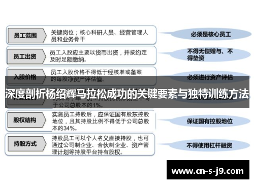 深度剖析杨绍辉马拉松成功的关键要素与独特训练方法